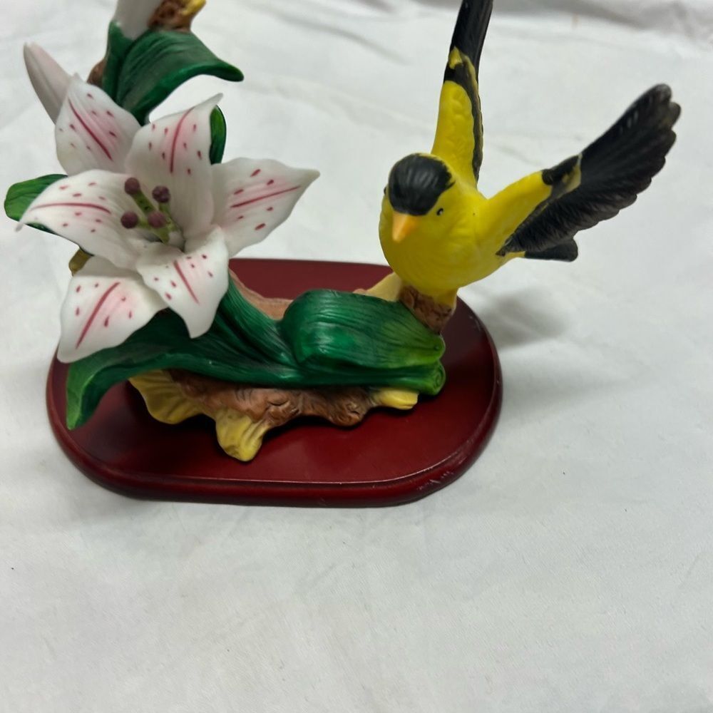 Bird collection - Picture 11 of 16